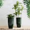 Glitzhome® 23.5" Gradient Green Faux Ceramic Tall Plastic Planters, 2ct.